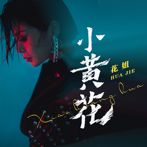 久久国产精品免费观看
