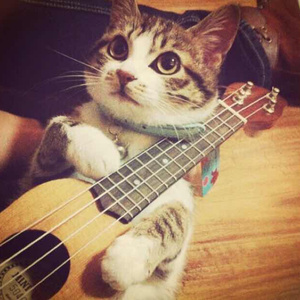 久久国产精品免费观看
